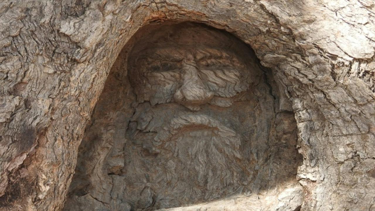 The Face Tree