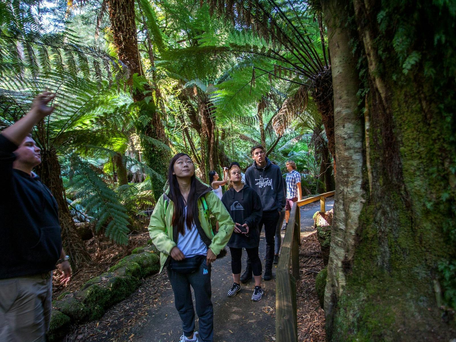 Mt Field National Park