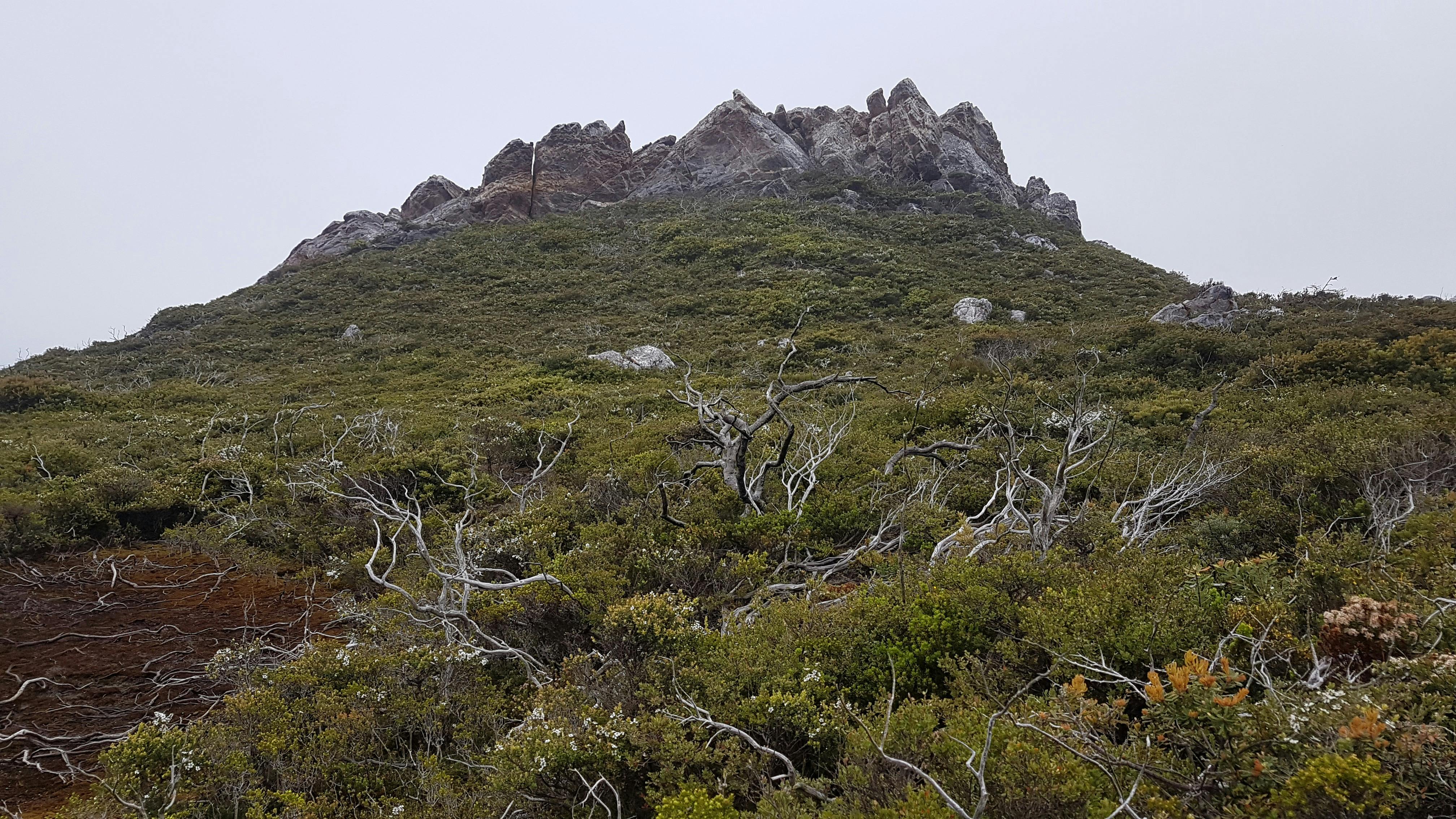 The true wilderness experience on the Tarkine Wilderness Pack-Free Walk by Life's An Adventure