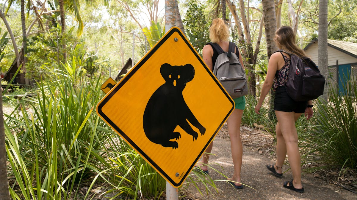 Wildlife Park Magnetic Island