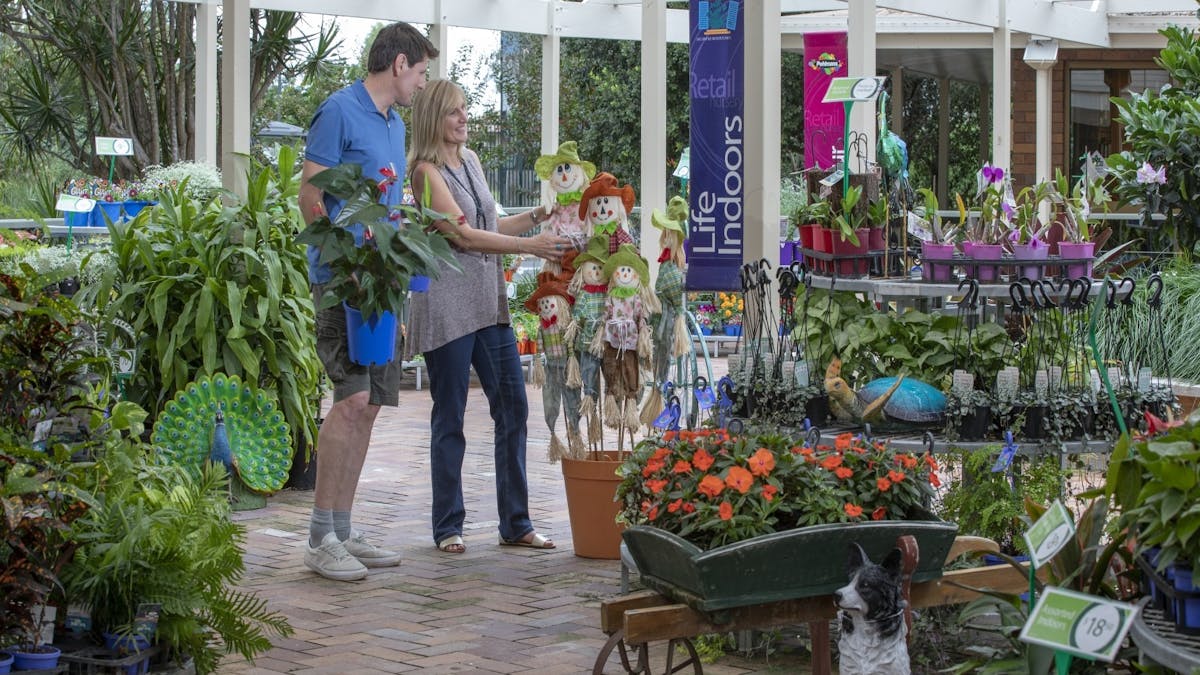 Man and woman holding plants at nursery