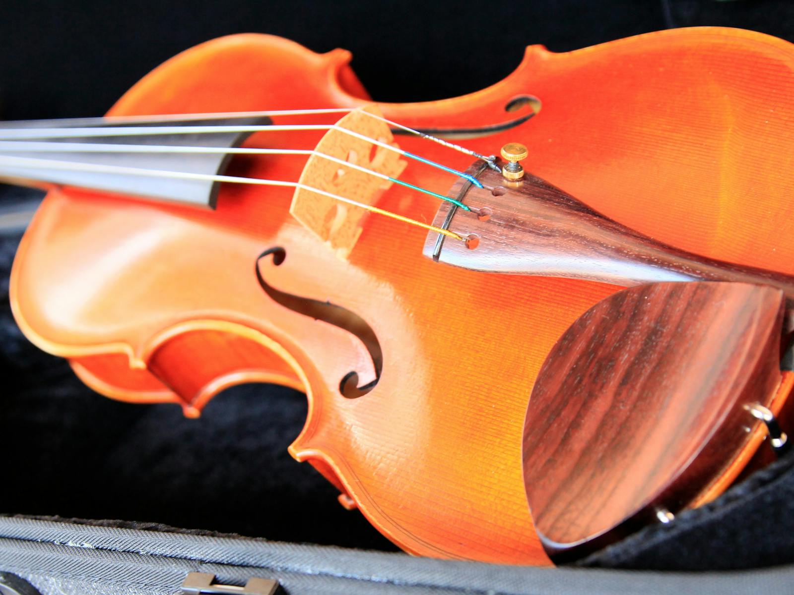 Image for Kendall National Violin Competition Finals Weekend