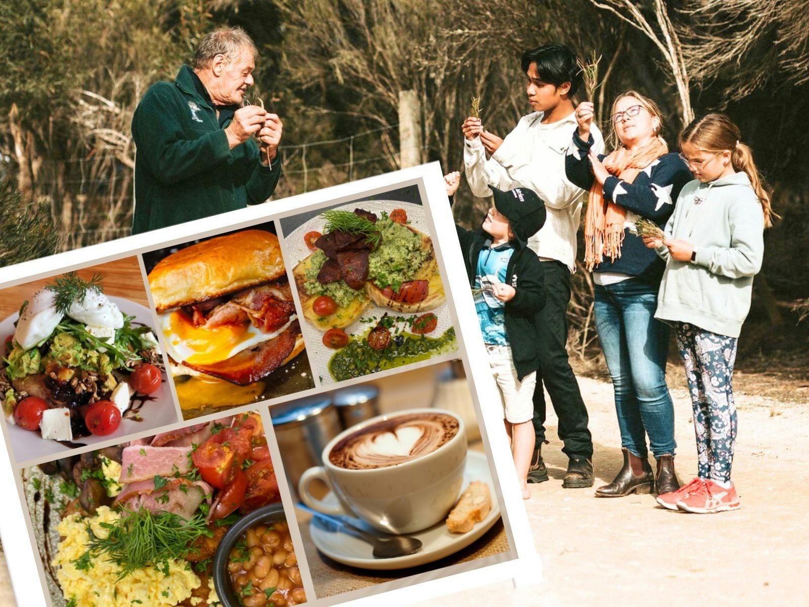 Emu Ridge Eucalyptus Experience- Tour & Breakfast on Kangaroo Island