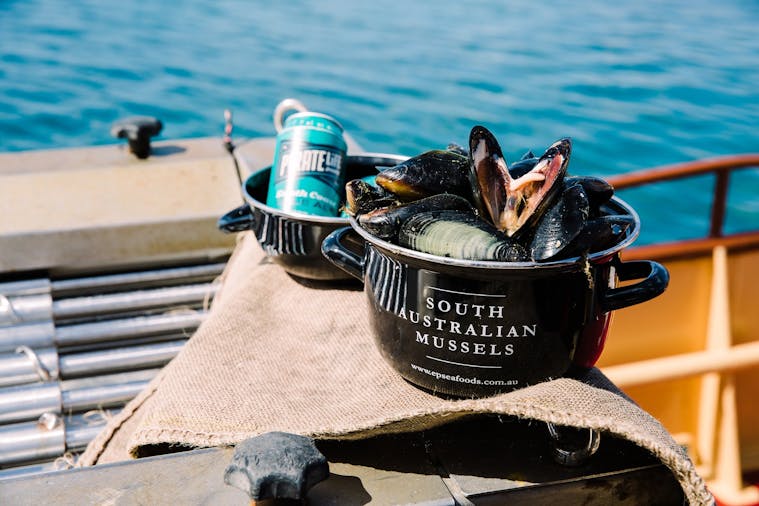 Pirate Lifes Discover the South Coast Eyre Peninsula