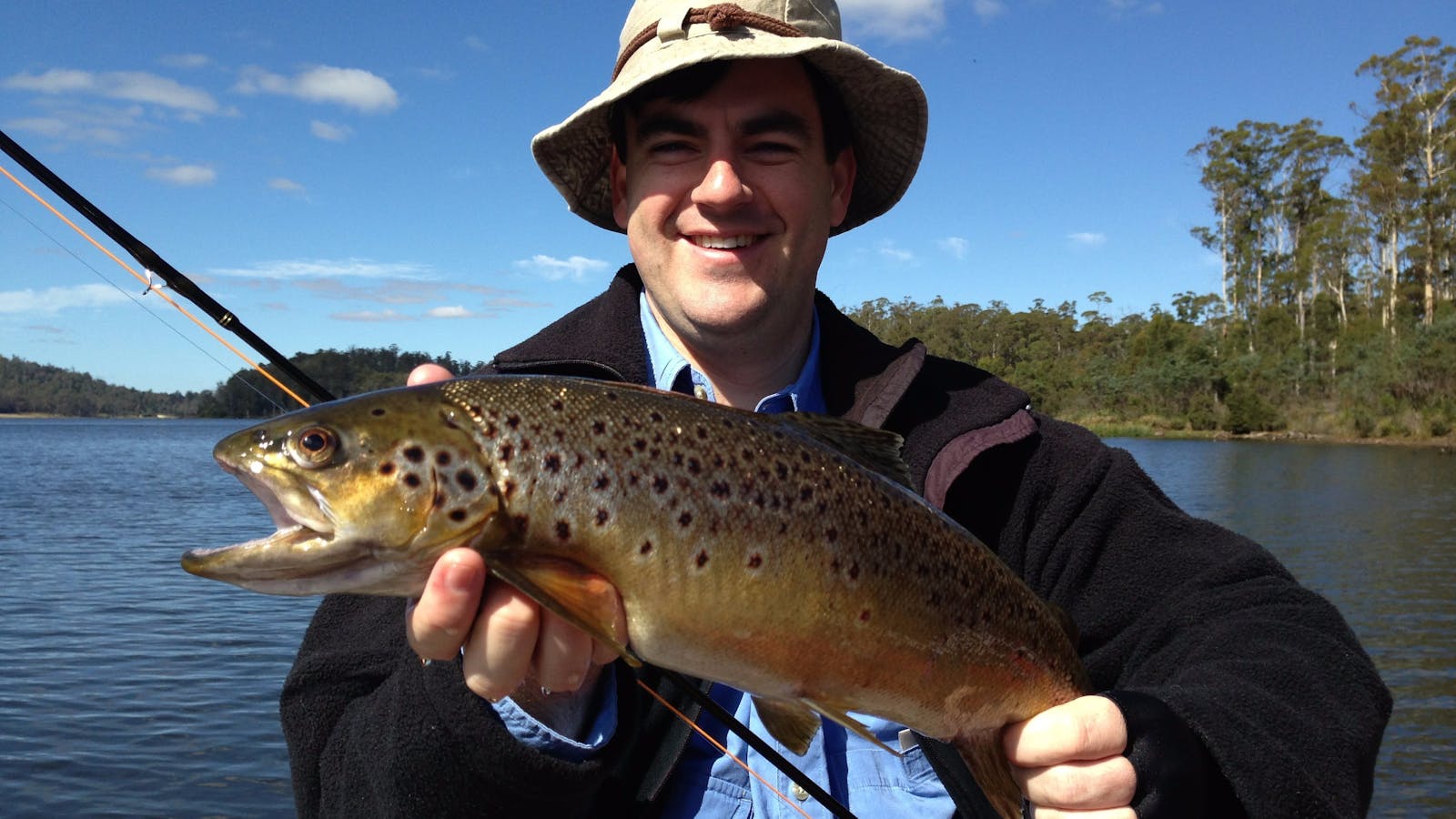 Four Springs lake brown trout.