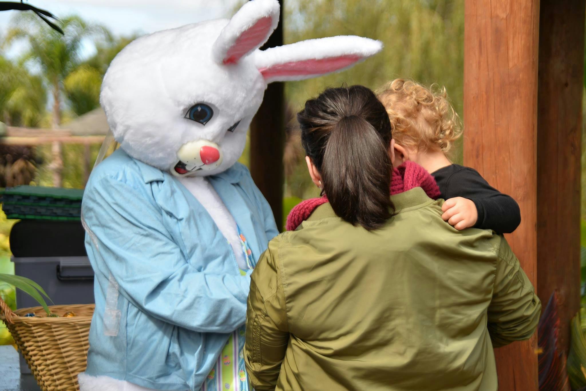 Meet the bunny