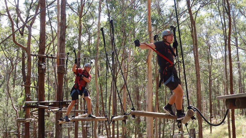 2 guests walking along a wobbly log bridge obstacle on the high-wire course