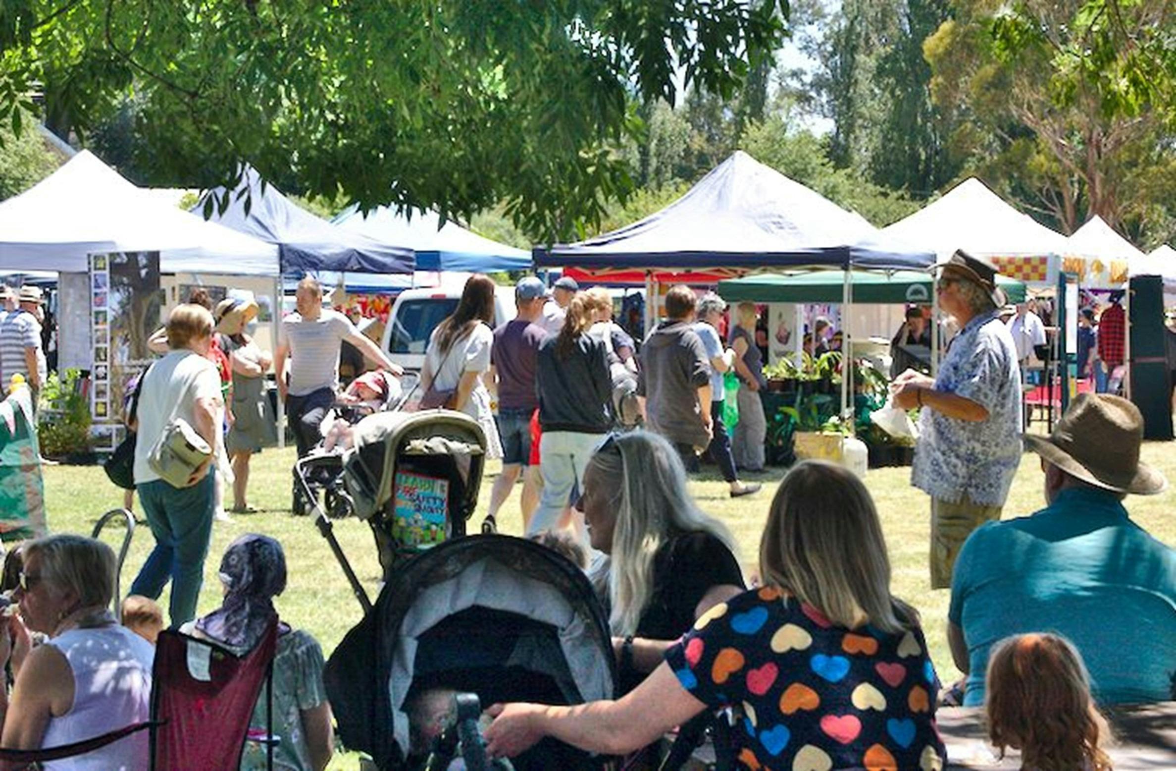 Macclesfield Strawberry Fete