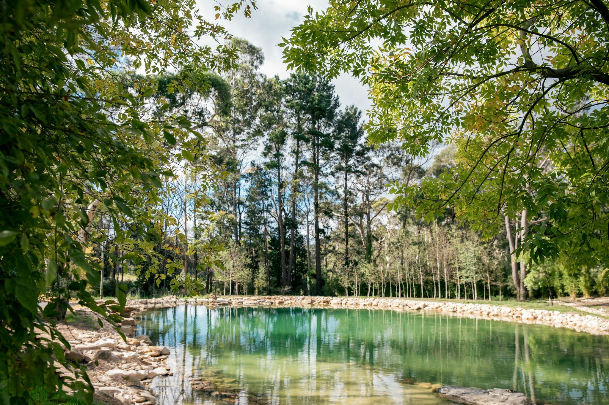 Sandstone Spring Lake