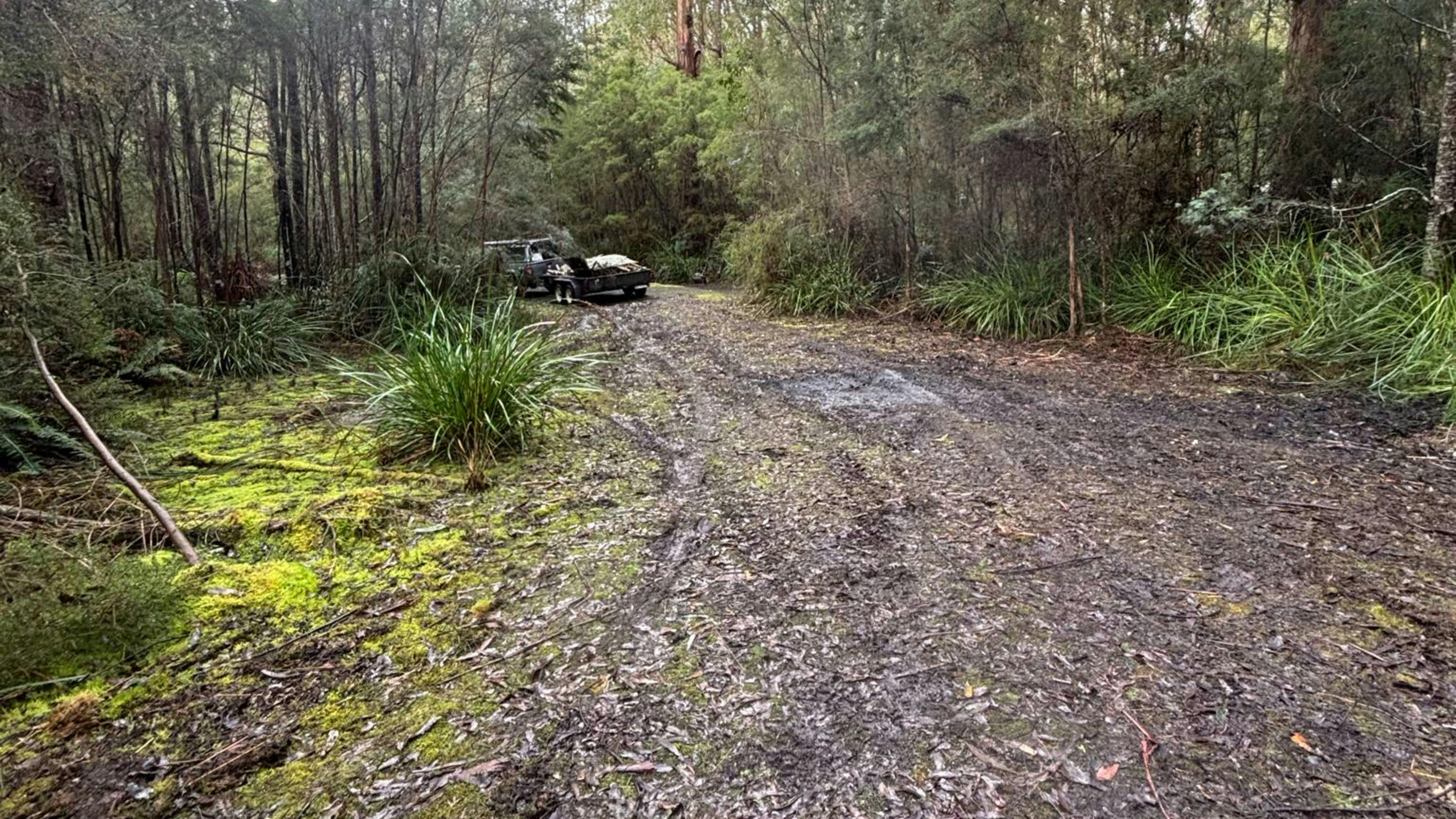 Large area suited for camper trailers, vans, tents or swags.  Not suitable for large caravans.