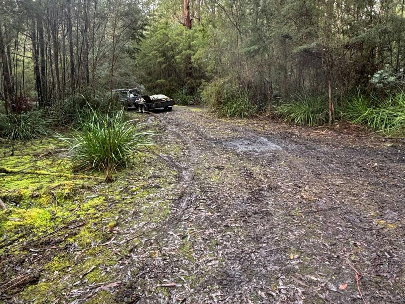 Large area suited for camper trailers, vans, tents or swags.  Not suitable for large caravans.