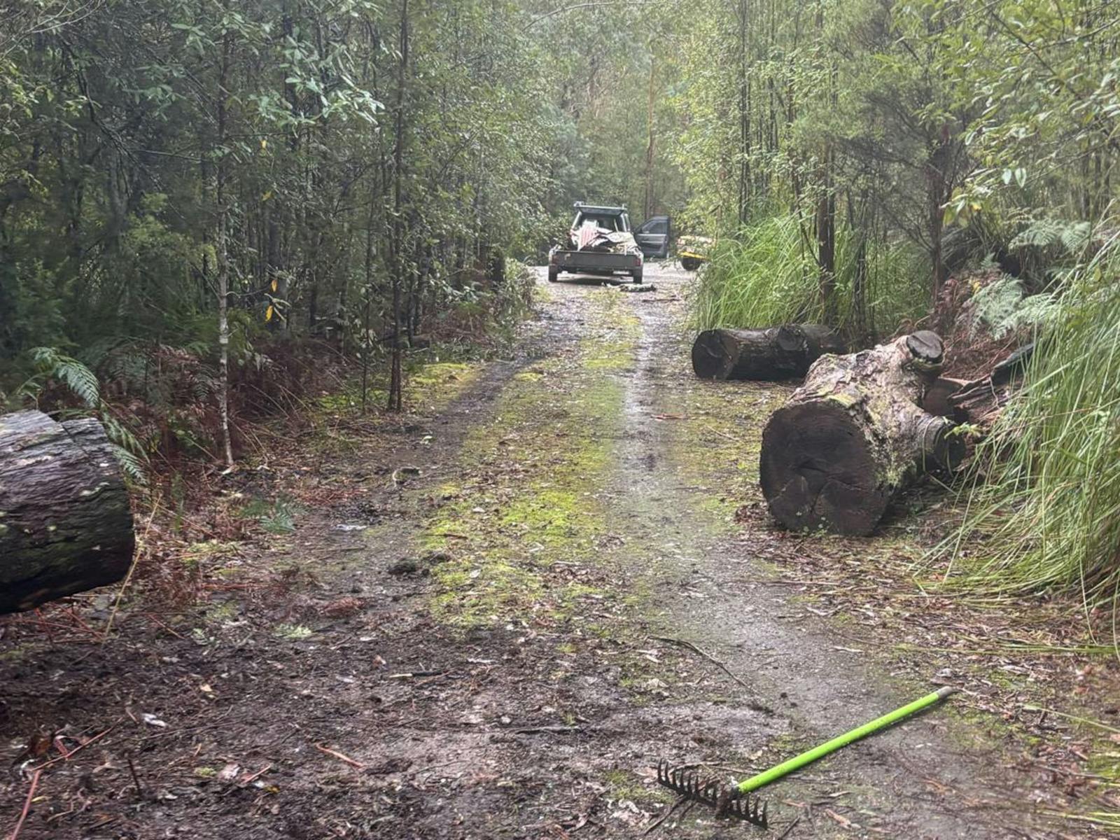 The road going in is clear and accessible to wide vehicles.