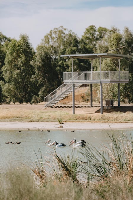 Marrambidya Wetland Wagga Wagga