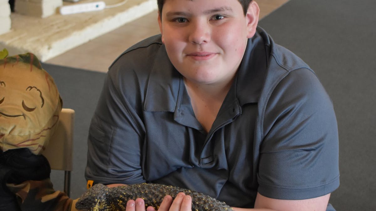 Wildlife show