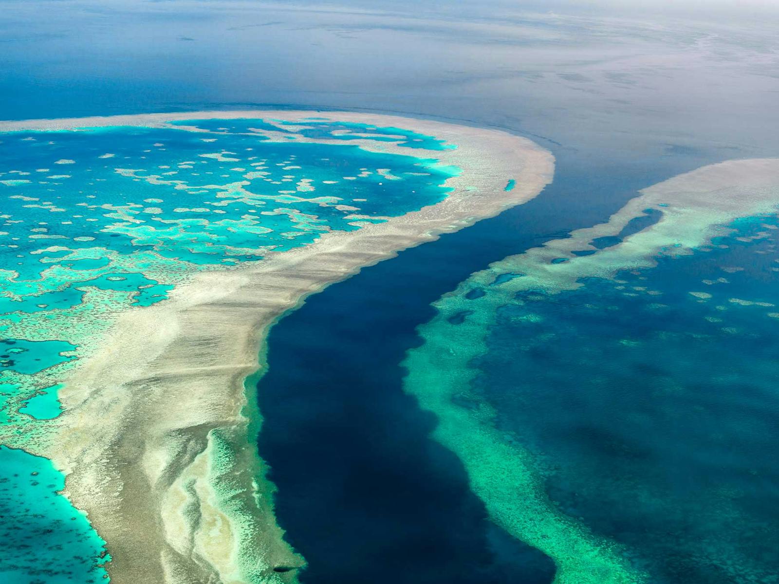 Aerial view of Australian reef - east coast Aerial view of Australian reef - east coast