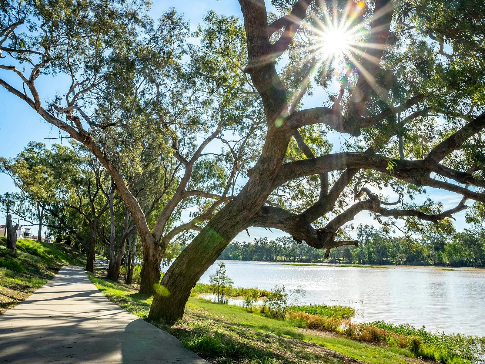https://www.stgeorgeregion.com.au/explore/st-george/ https://www.stgeorgeregion.com.au/explore/st-george/