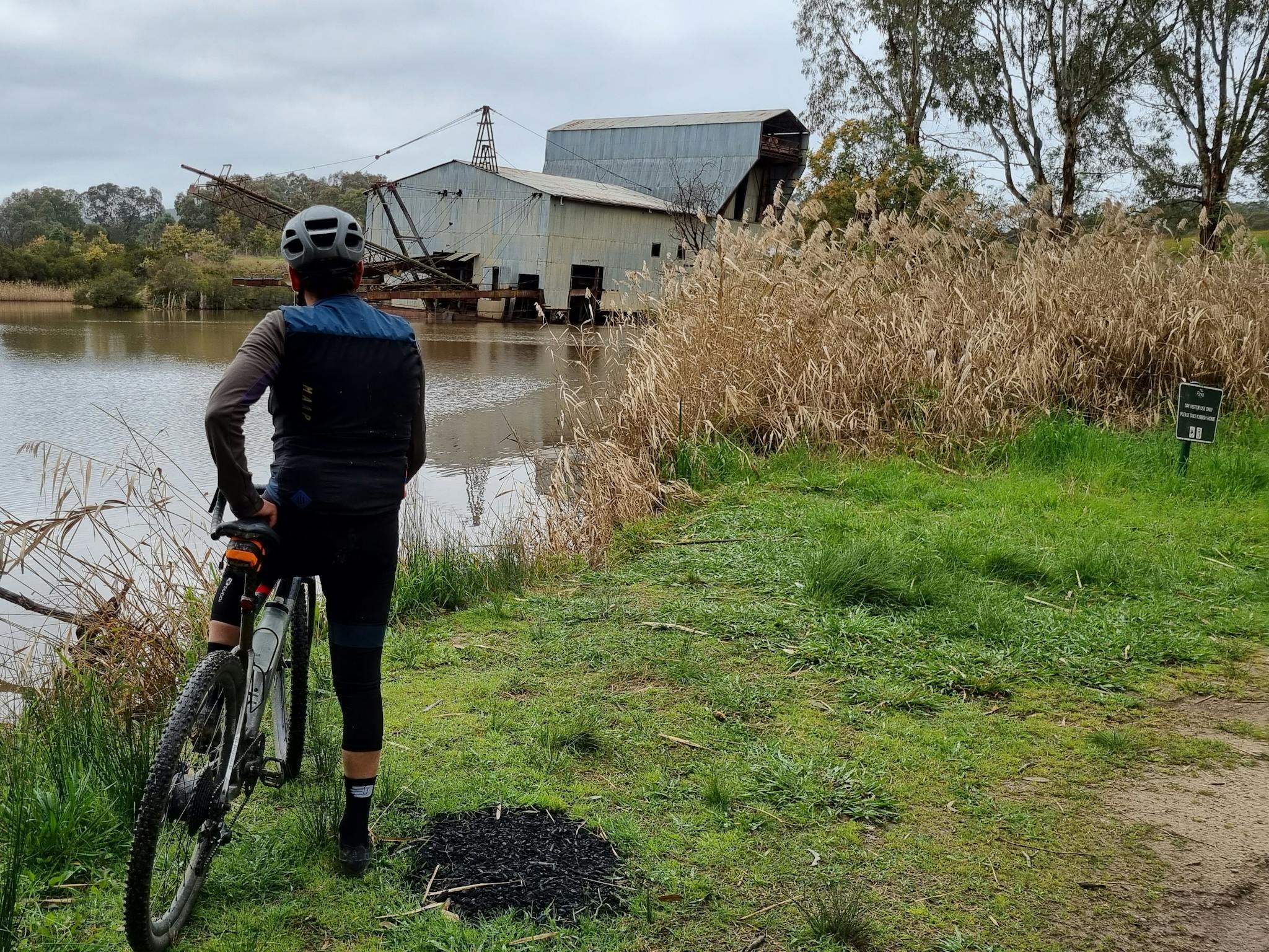 Cyclist looking over dredge pond to the dredge, rushes,  trees, bushes, grey sky
