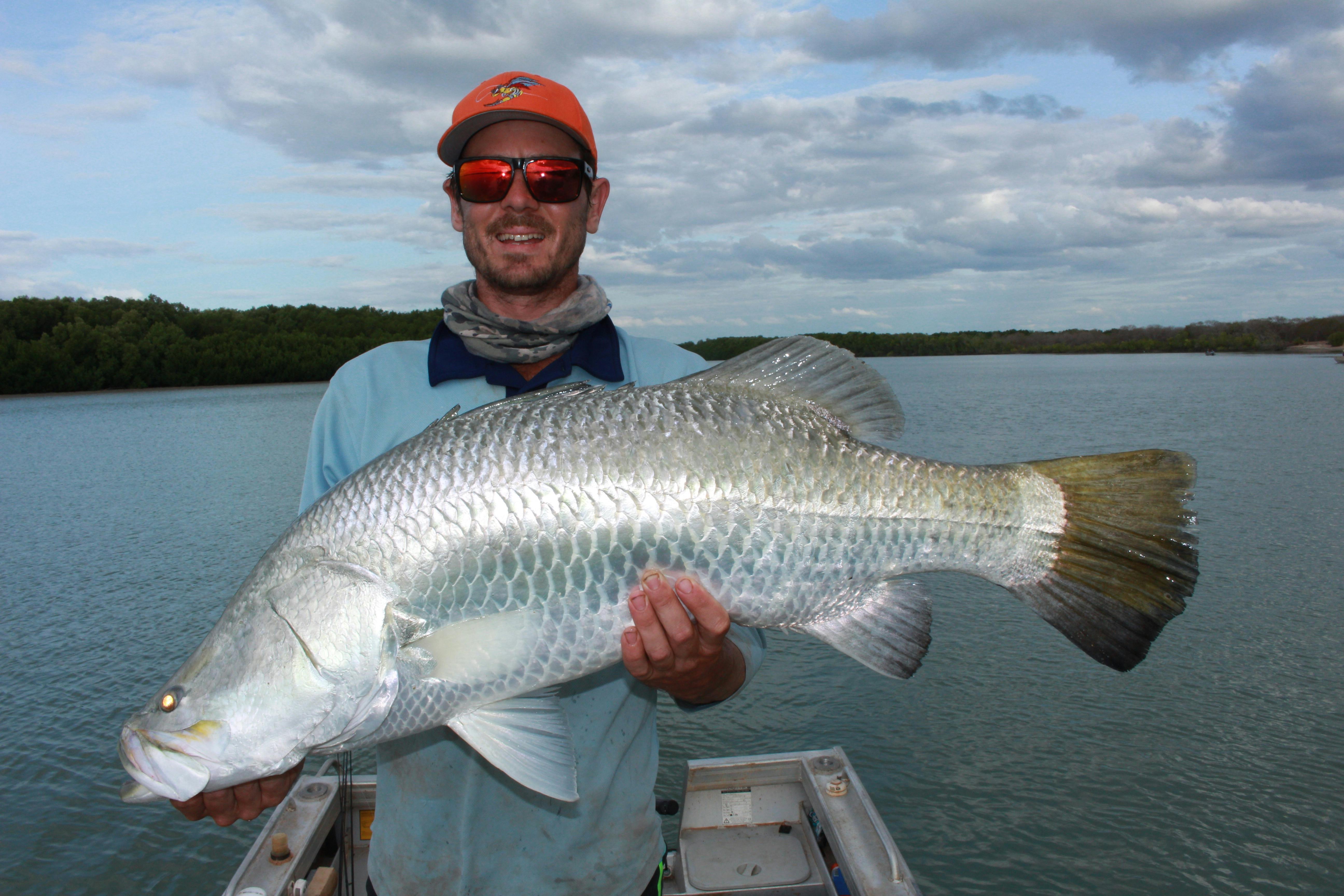 barramundi