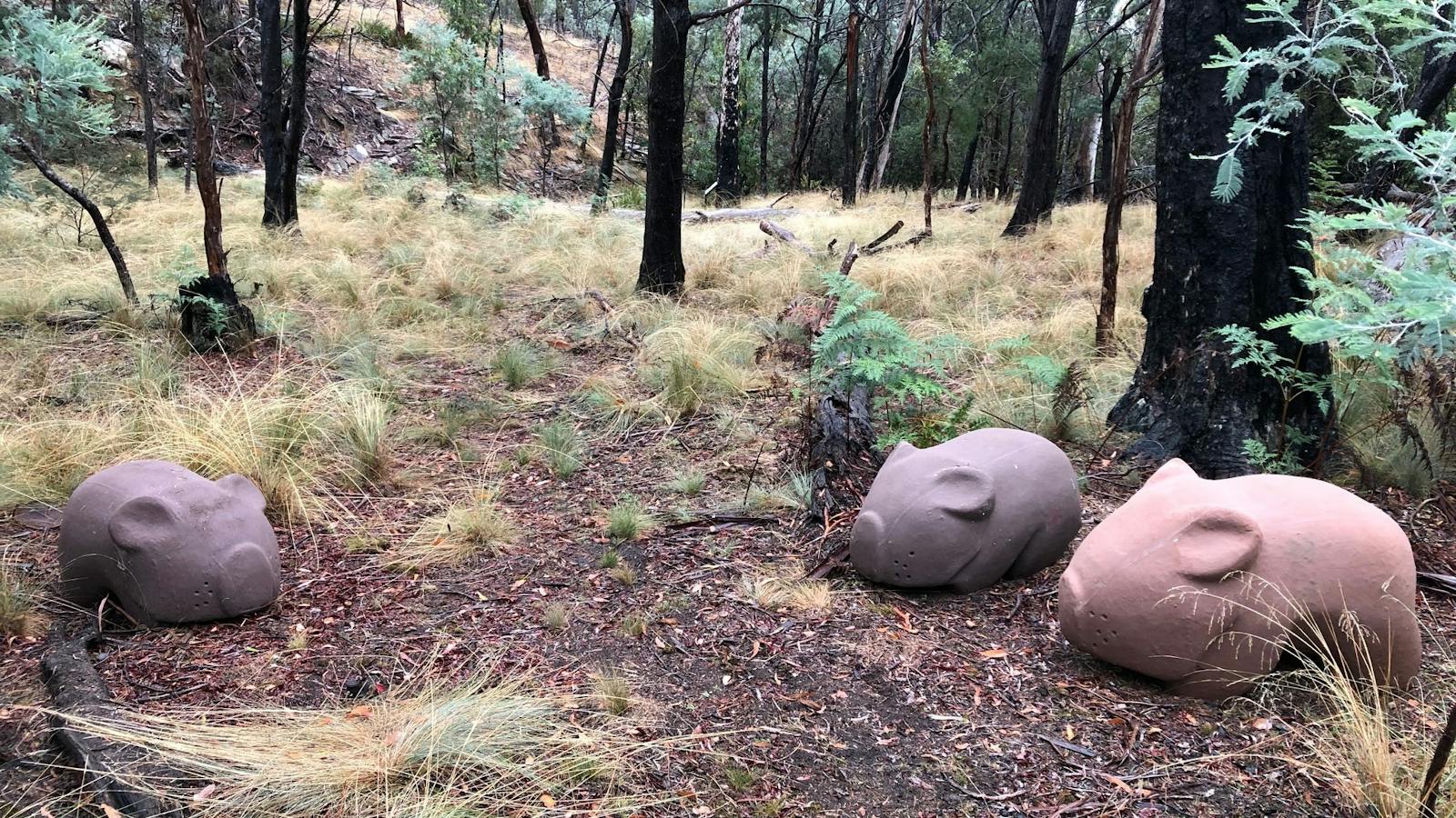 Wombat Walk