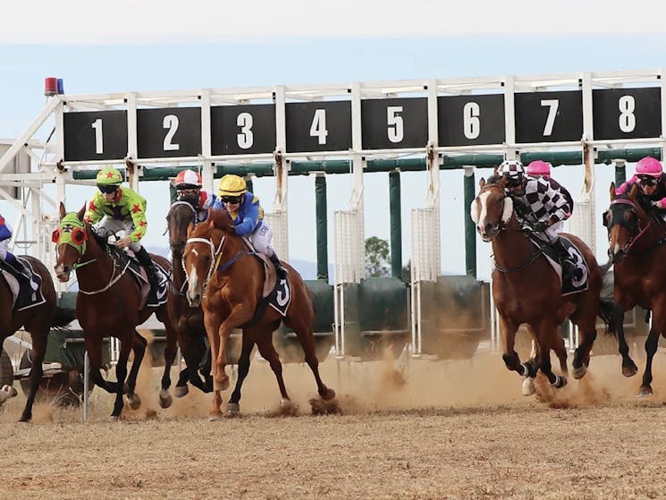 cooma races