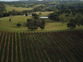 No end of beatuiful scenery on our 100 acre property just 50 minutes from Brisbane