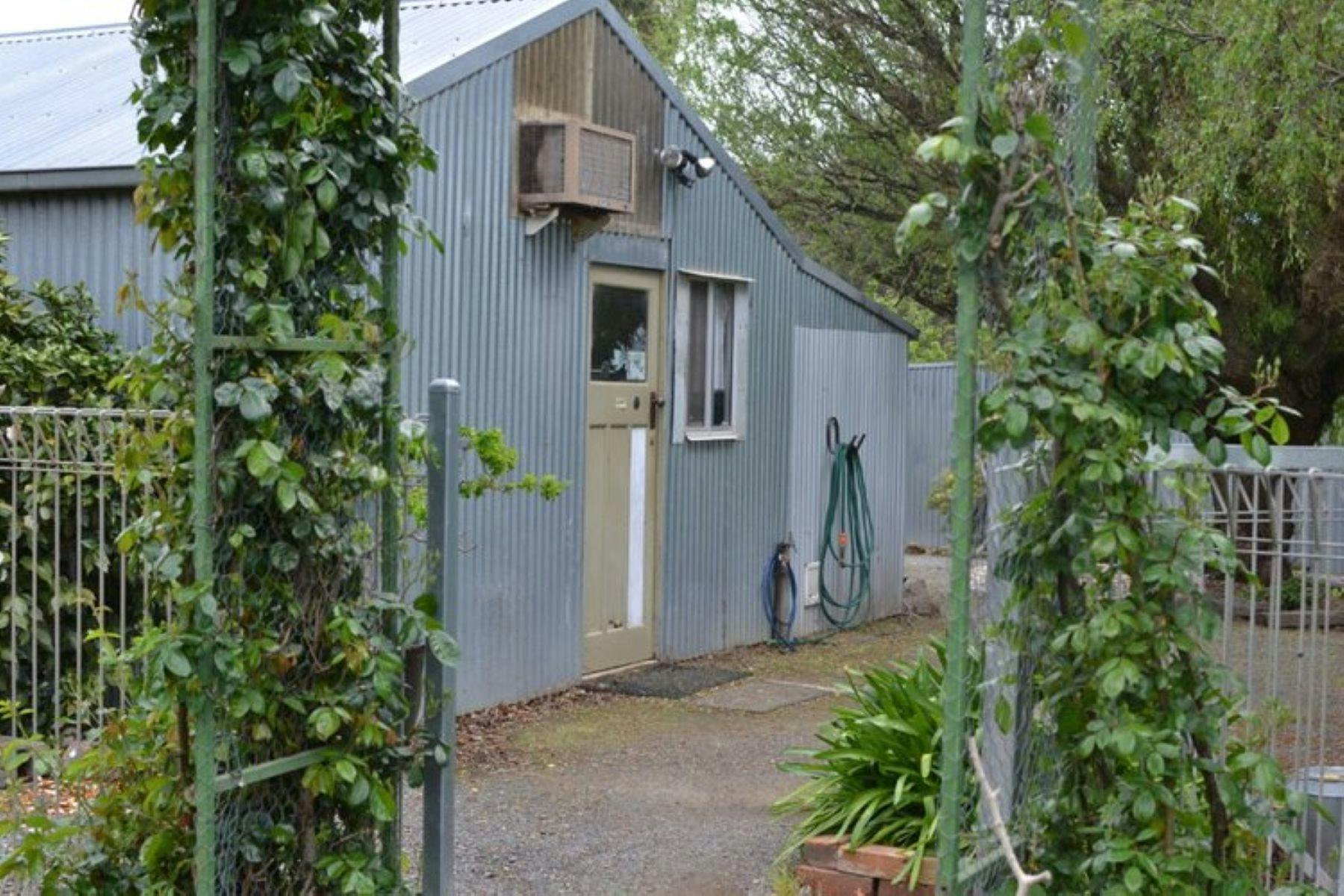 Plumtree Kennels and Cattery