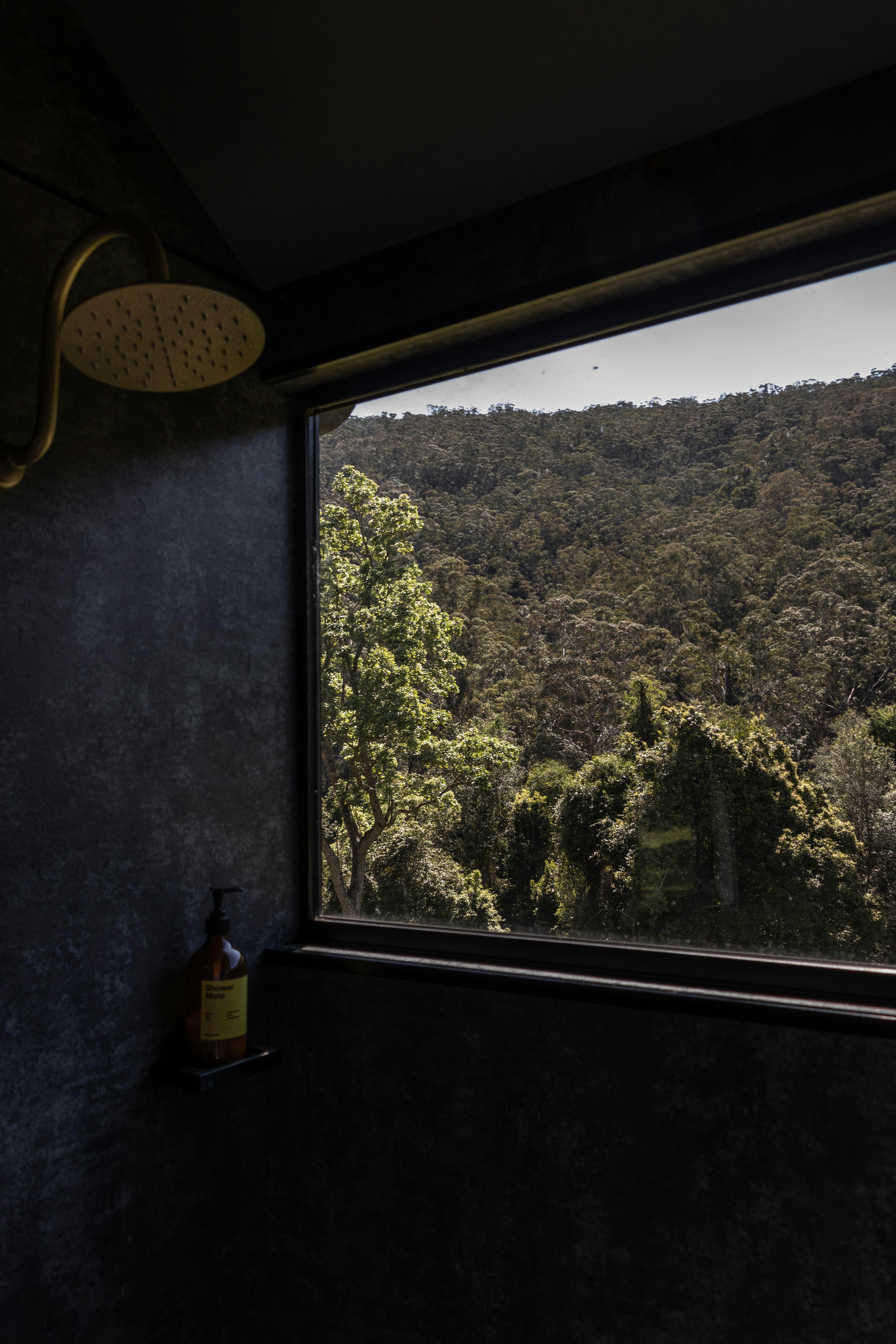 Unyoked - Heike - Yarramalong