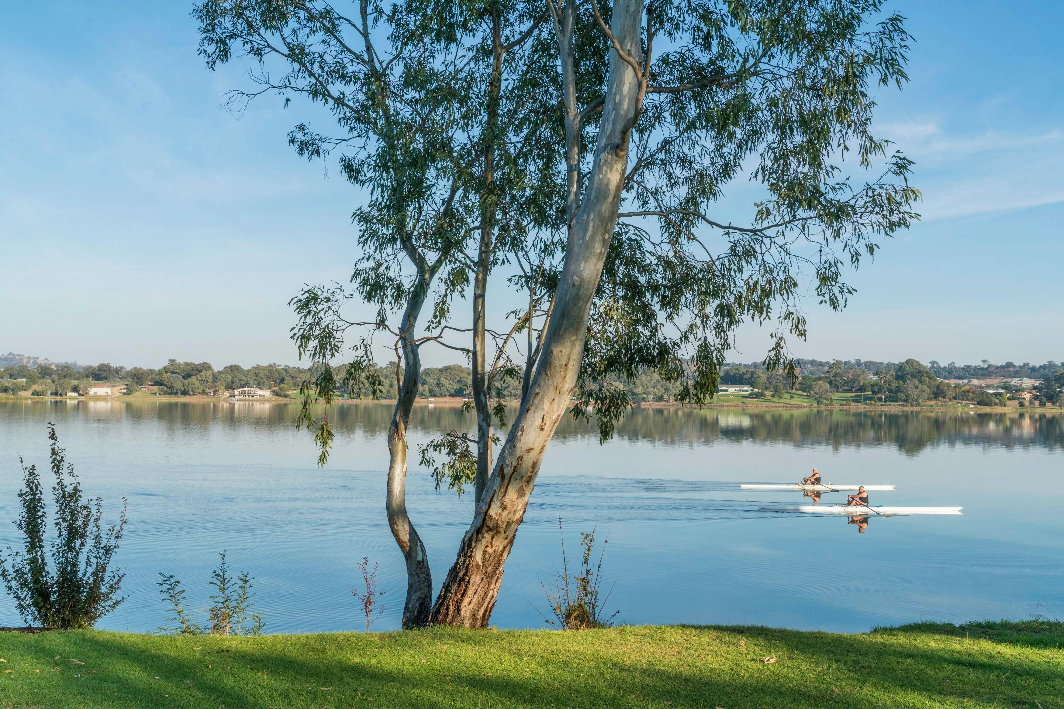 Lake Albert NSW Holidays & Things to Do, Attractions