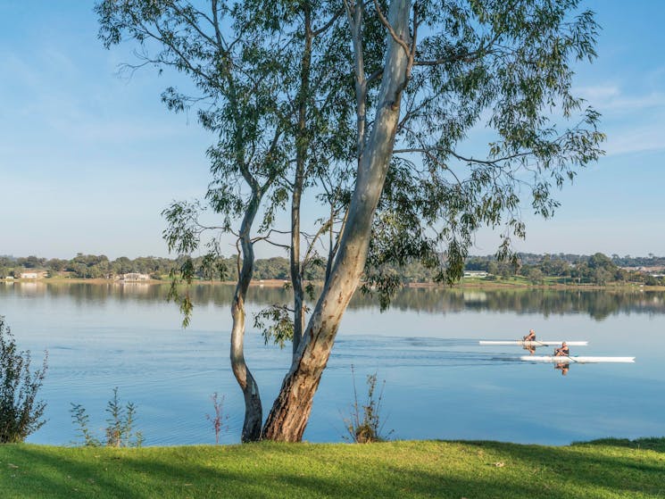 Lake Albert in Wagga Wagga