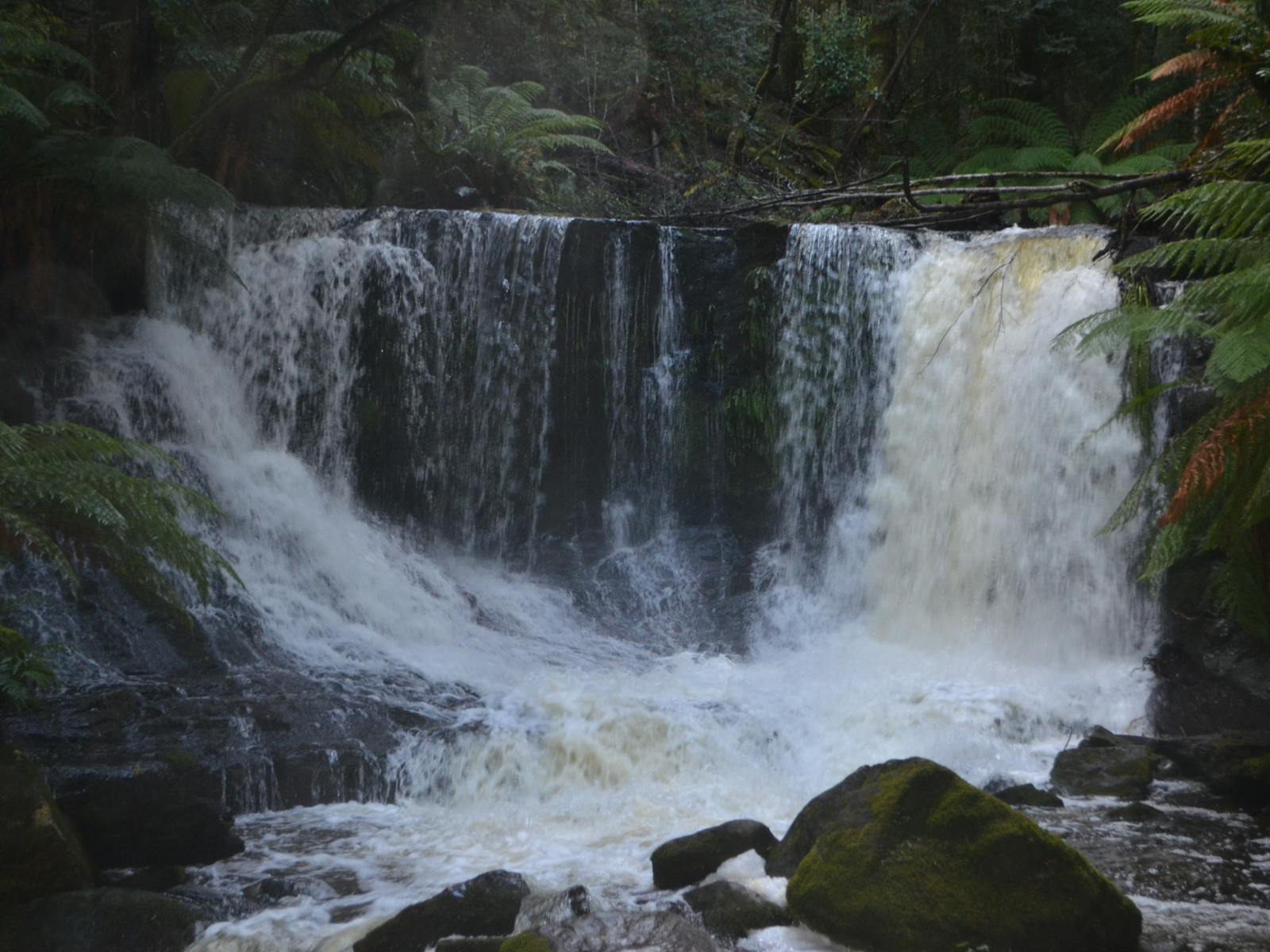 The Famous Russell Falls In Action