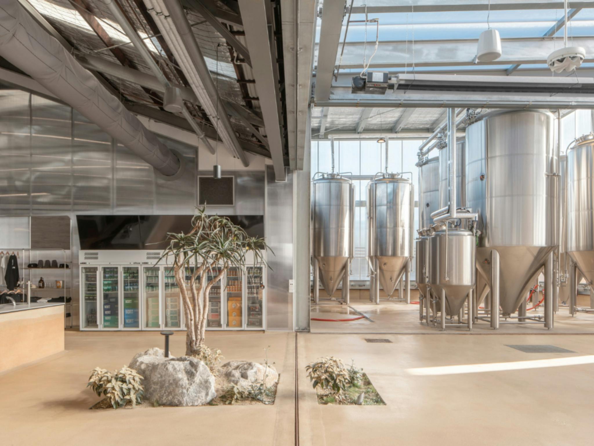 Modus brewing Newcastle