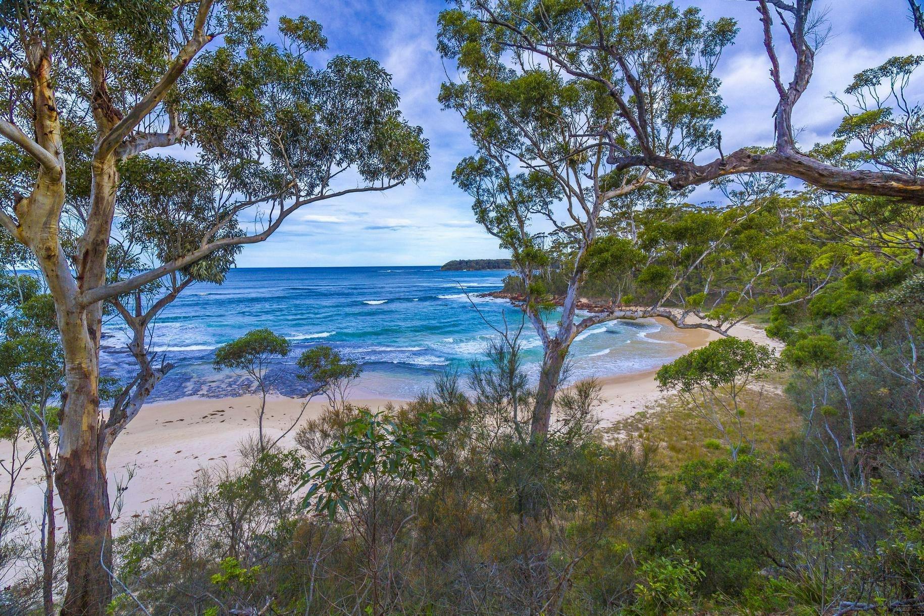 나무 사이로 보이는 플랫 록 해변