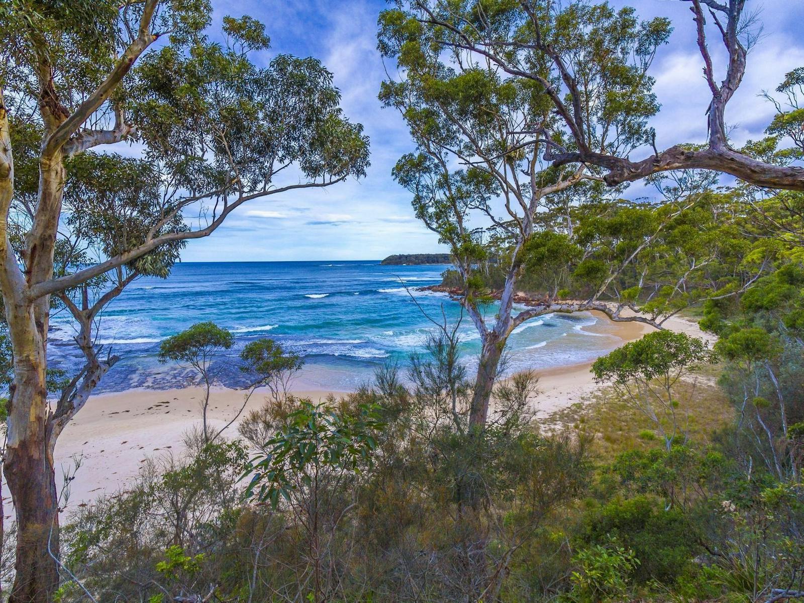 Flat Rock Beach through the trees
