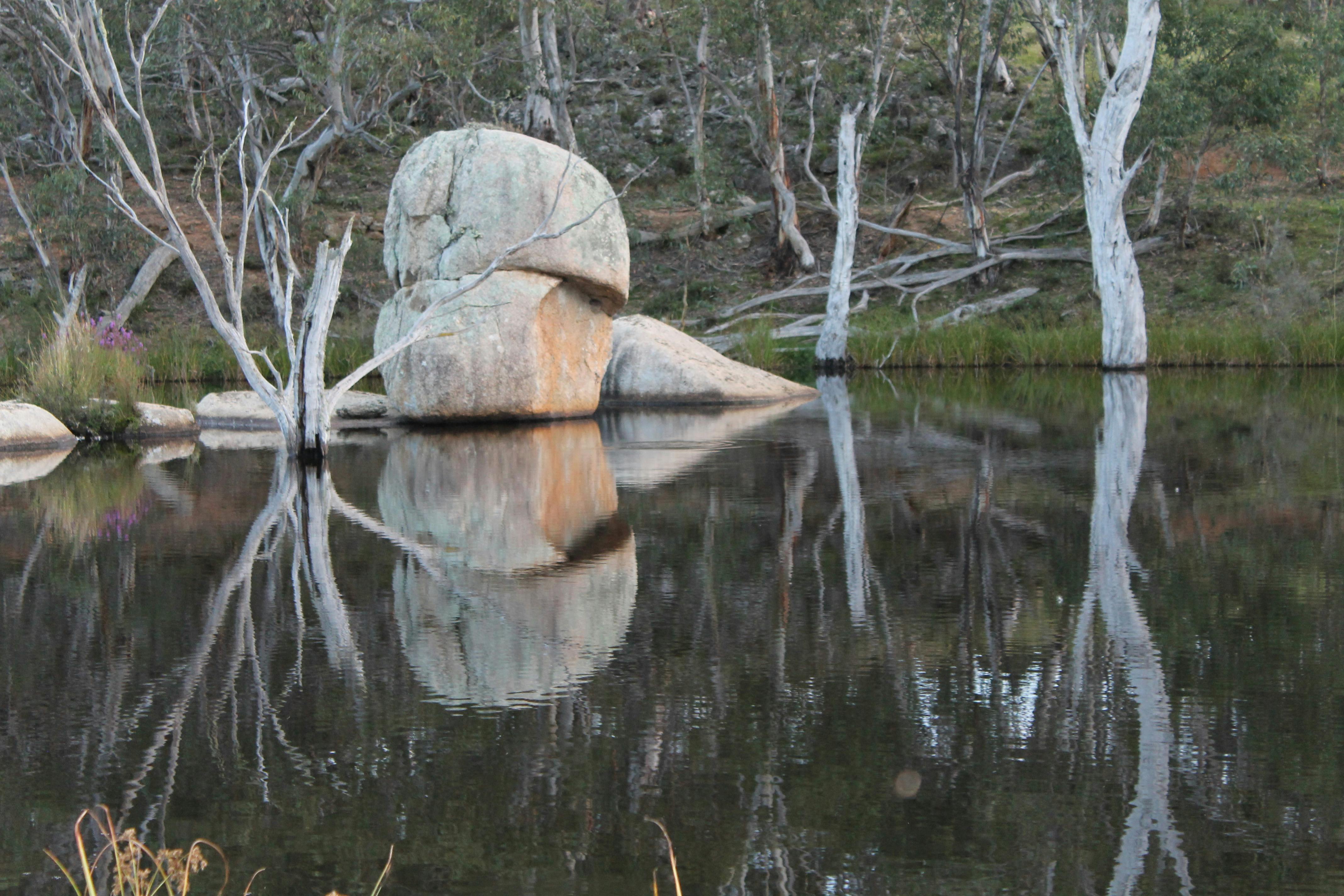 Monaro Fly Fishing Tours