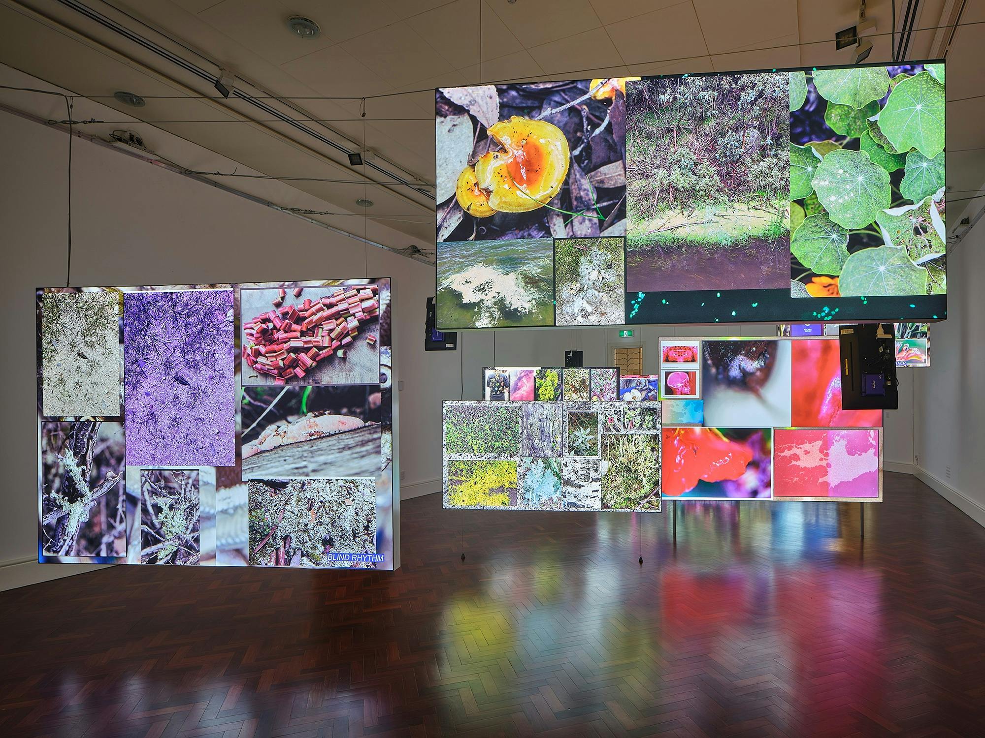 These Entanglements: Ecology After Nature