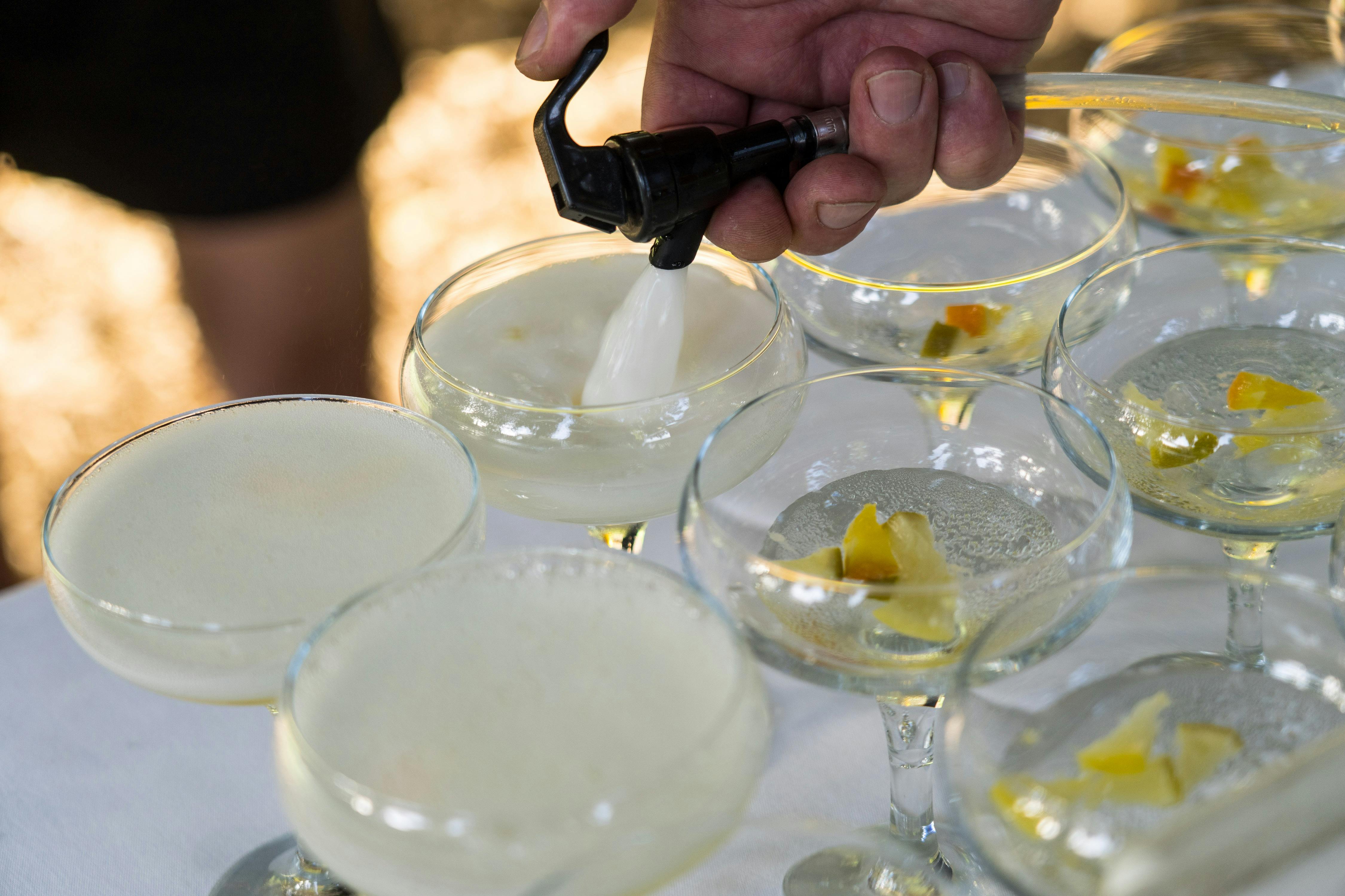 adding seltzer to a cocktail glass holding fresh botanicals and Tasmanian gin