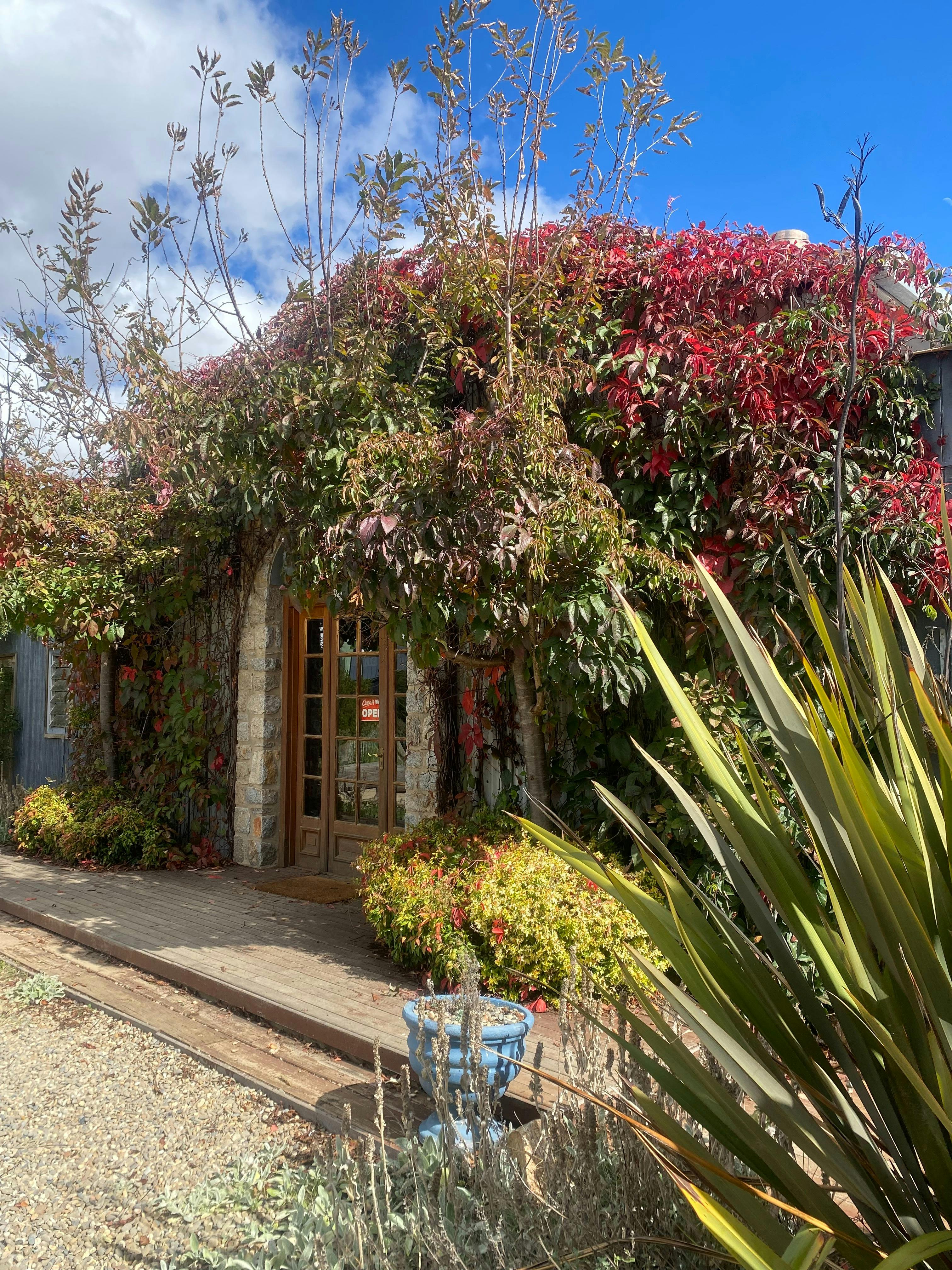 Dalgety Brewing Company