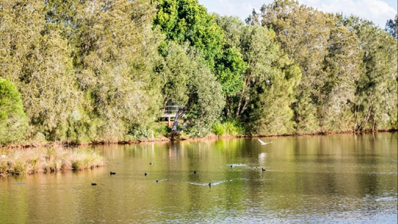 Toowoomba Waterbird Habitiat
