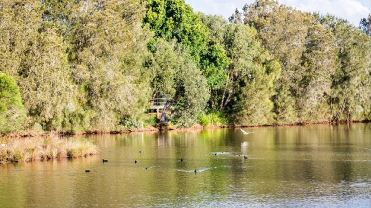Toowoomba Waterbird Habitiat