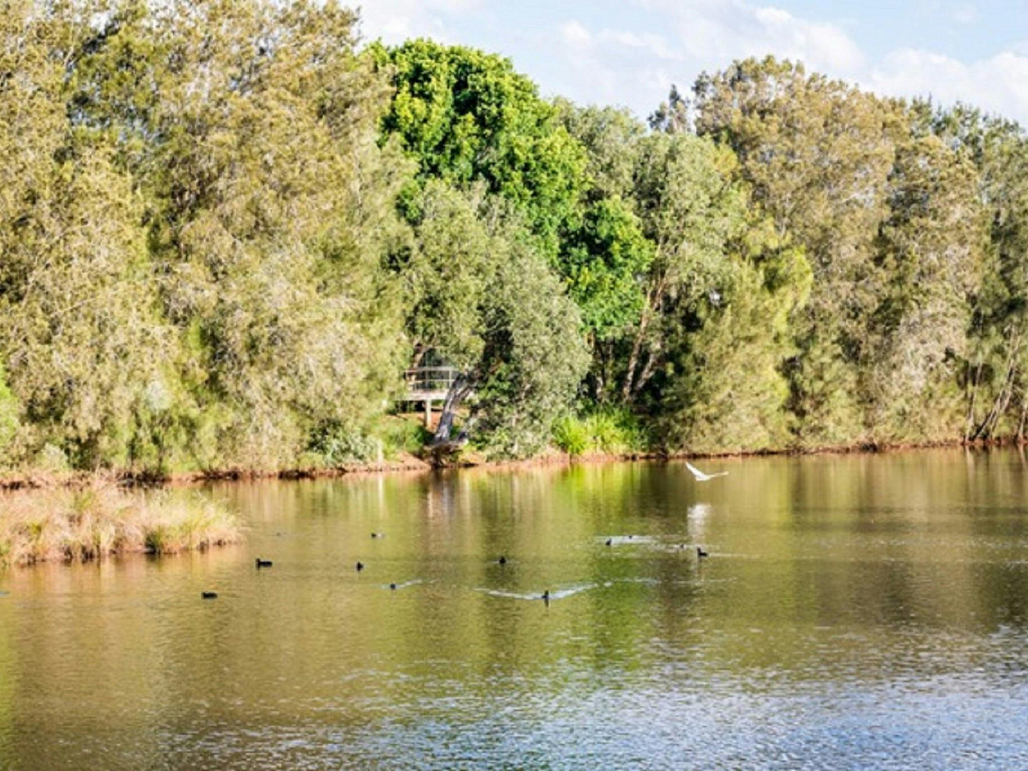 Toowoomba Waterbird Habitiat