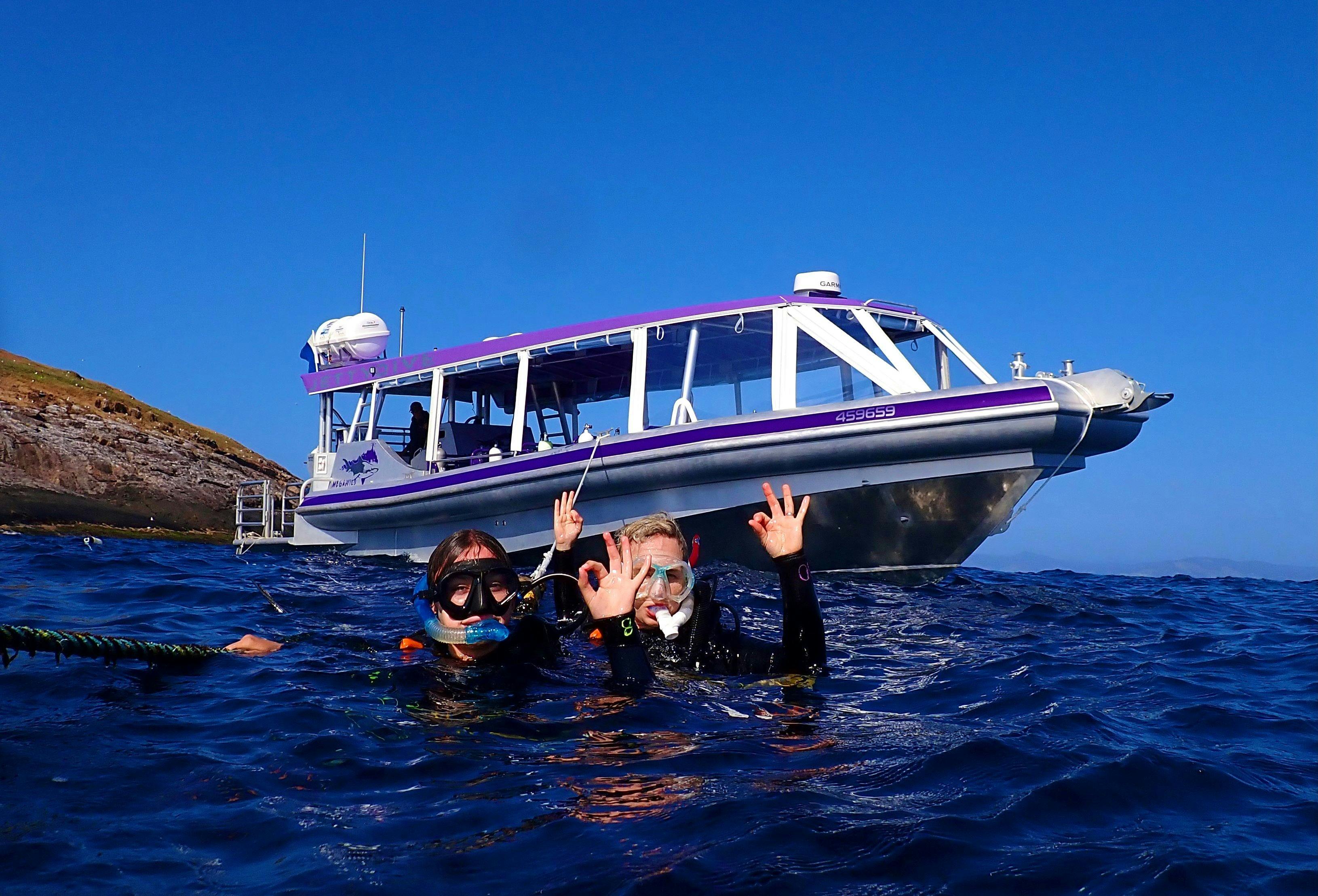 Jetty Dive boat with divers