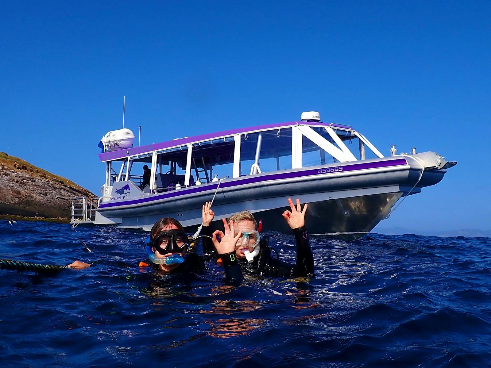 Dive Off Jetty Jetty Dive Centre | NSW Holidays & Accommodation, Things to Do ...