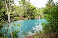 Turquoise waters of the Cardwell Spa Pool