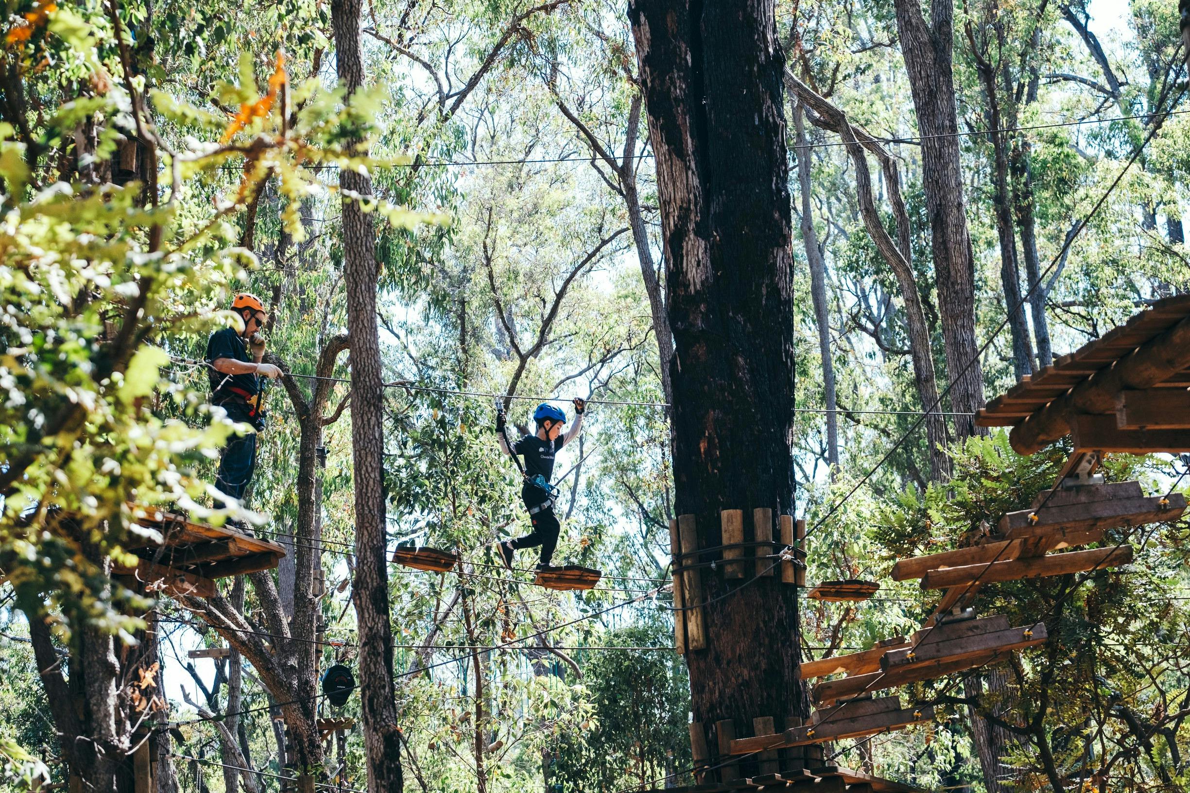 Lane Poole Reserve, Dwellingup
