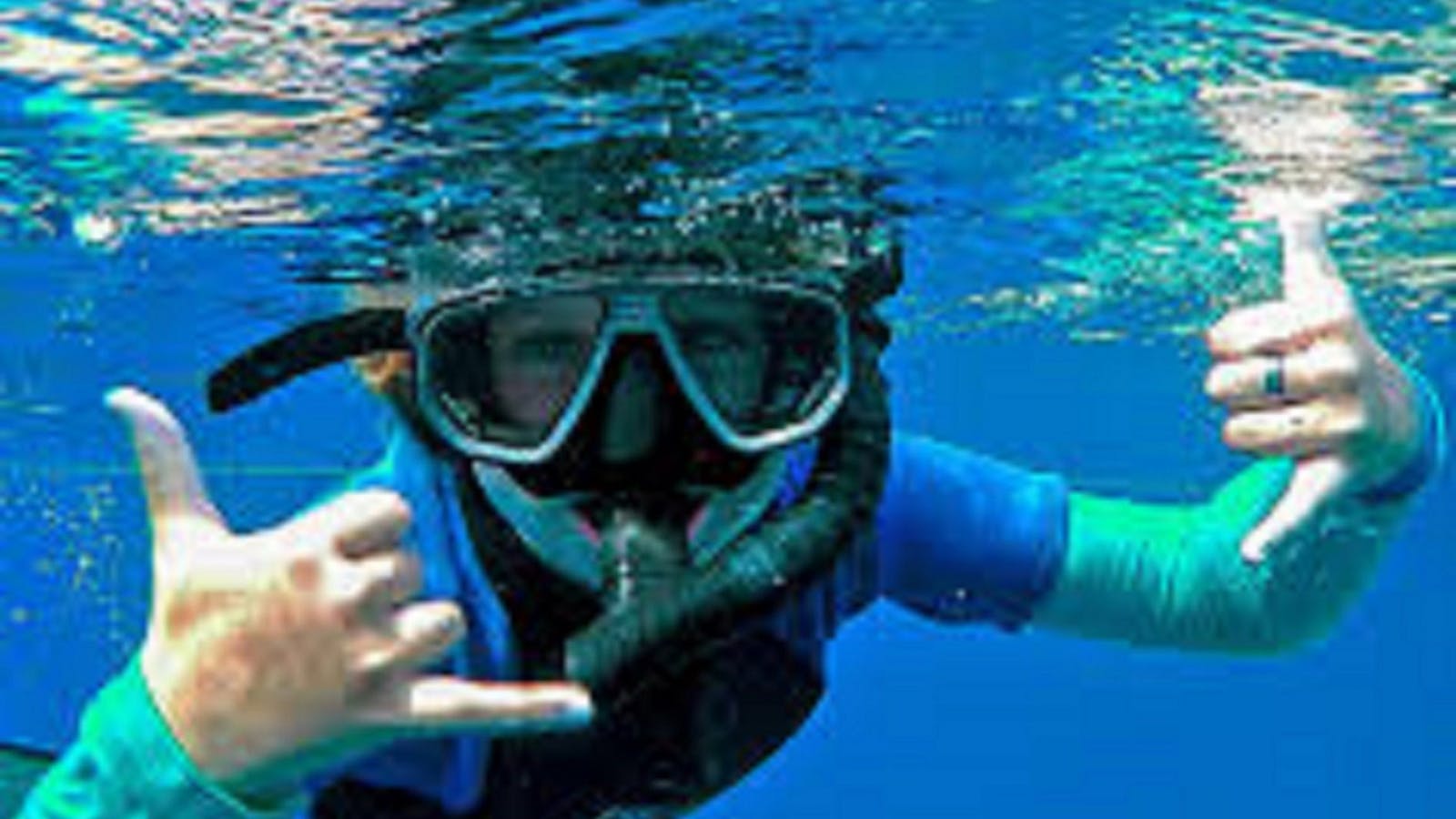 Guided snorkelling tours