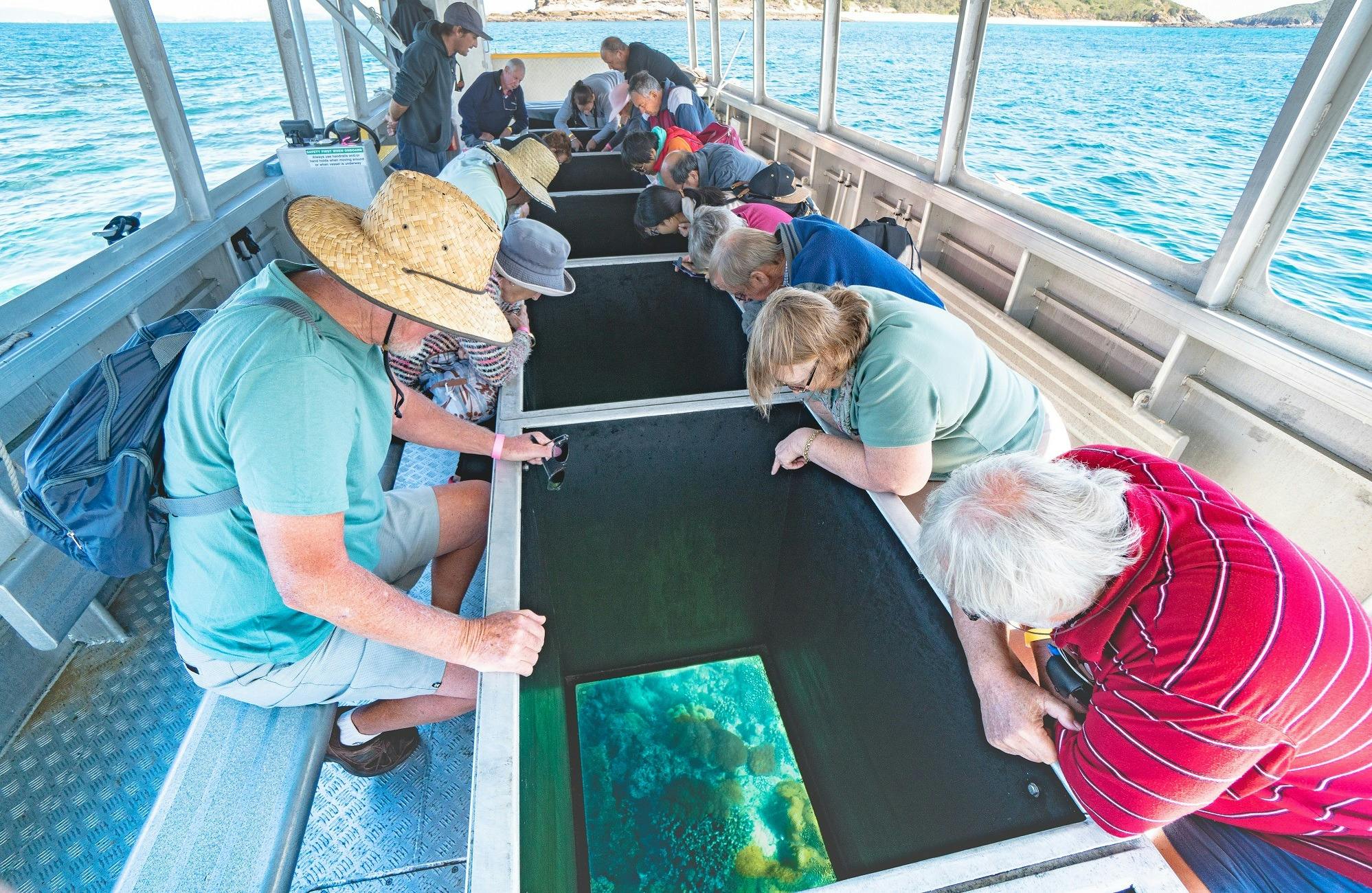 Glass bottom boat viewing. Great for those who don't want to get wet. Commences from Great Keppel.