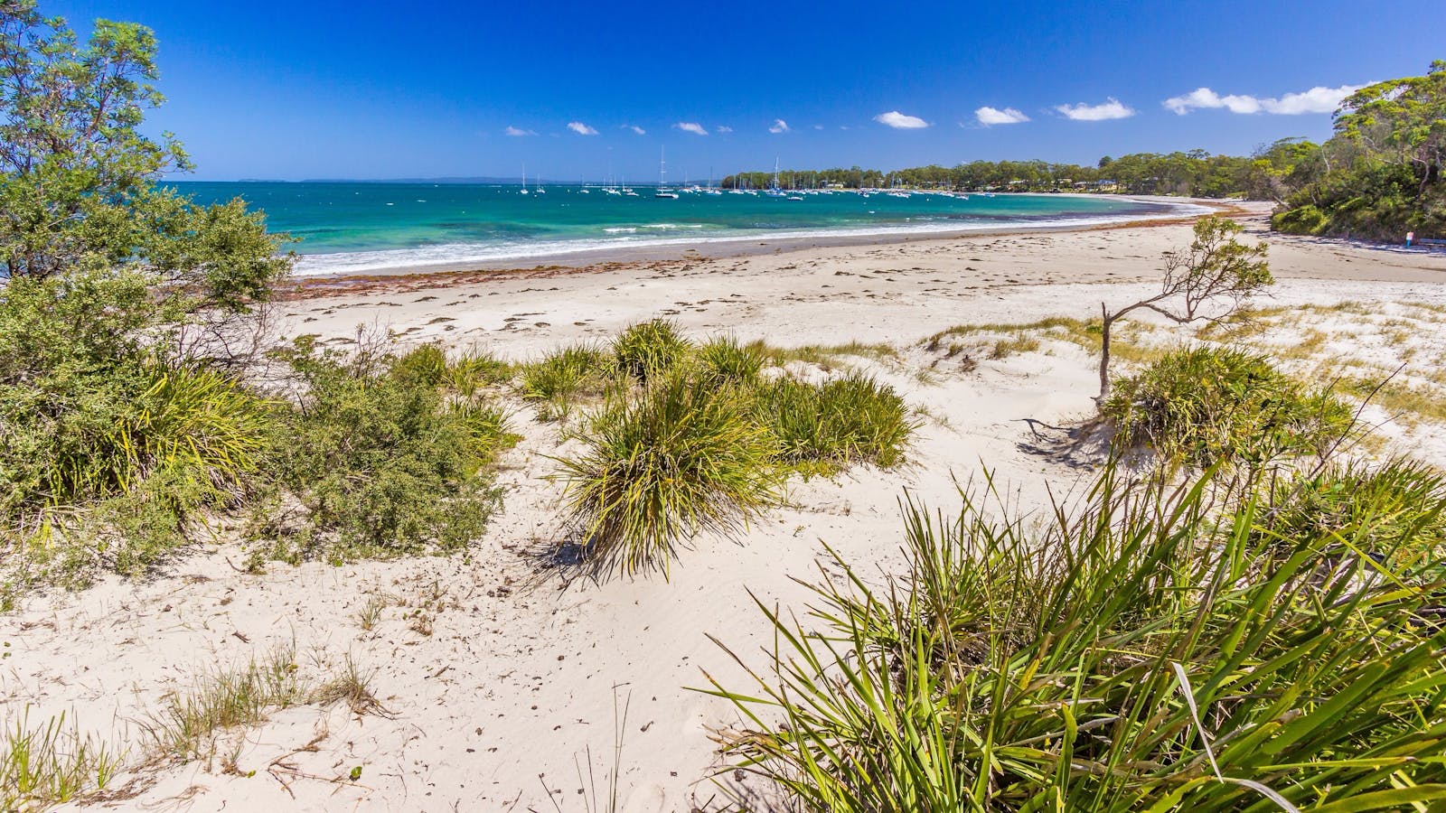 Callala Bay