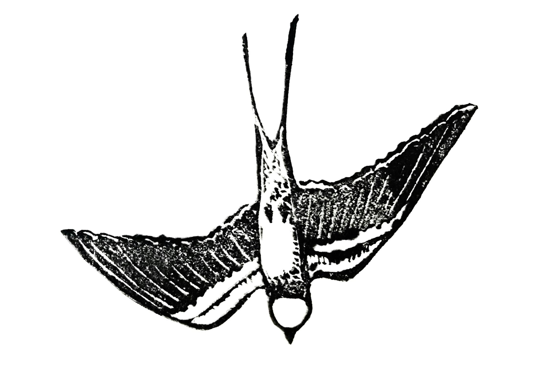 Clare  Valley Art Collective Residencies