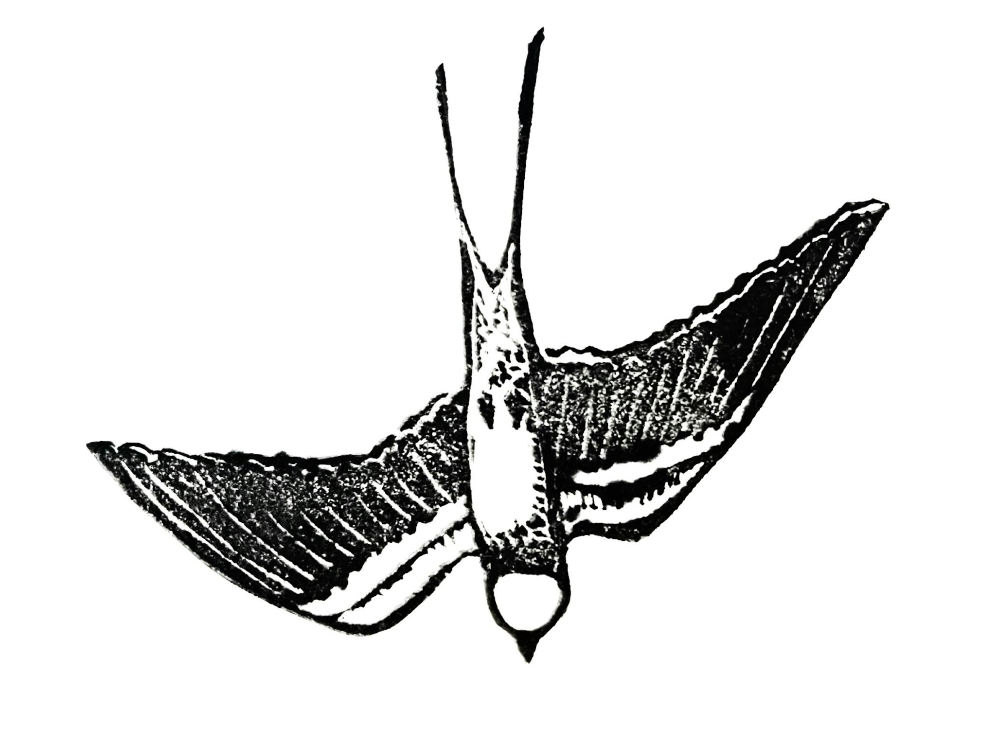 Clare Valley Art Collective Residencies