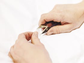 Handmade to Australia's highest quality standards